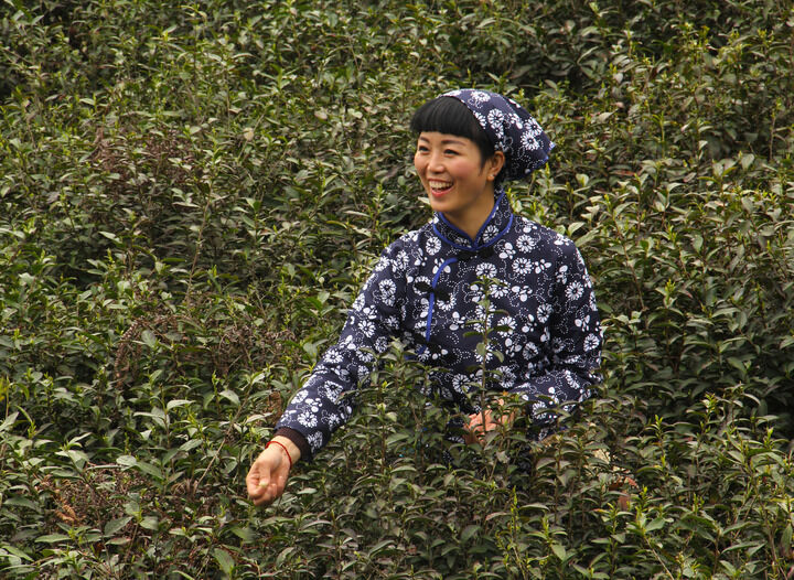 鬼灭之刃